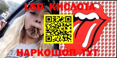 дмт Сланцы