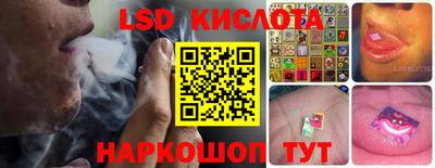 дмт Сланцы