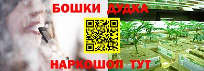 дмт Сланцы