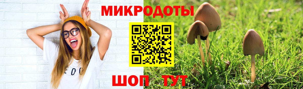 Галлюциногенные грибы Cubensis Подольск